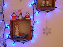 Decorations - Nikon Coolpix 2100